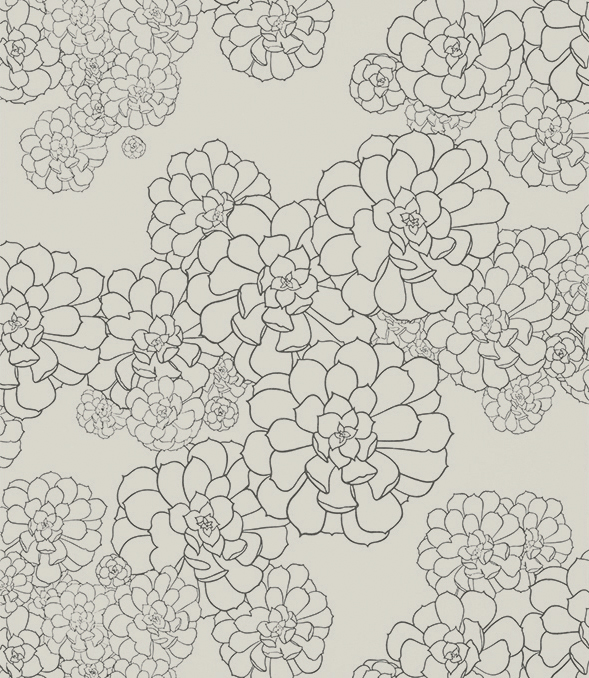 Обои Paint and Paper Library Tresco Aeonium Cotton 0393AECOTTO